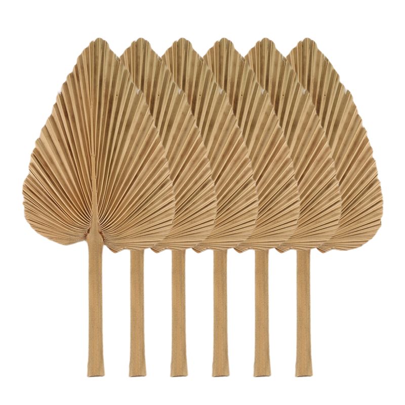 Palm Leaf Dried - AT84-6PCS Hojas de palma secas naturales,