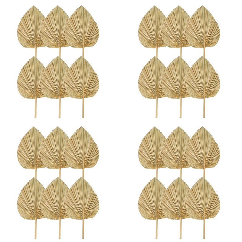 Palm Leaf Dried - 【NAVIDAD】24 hojas de palma secas naturales,