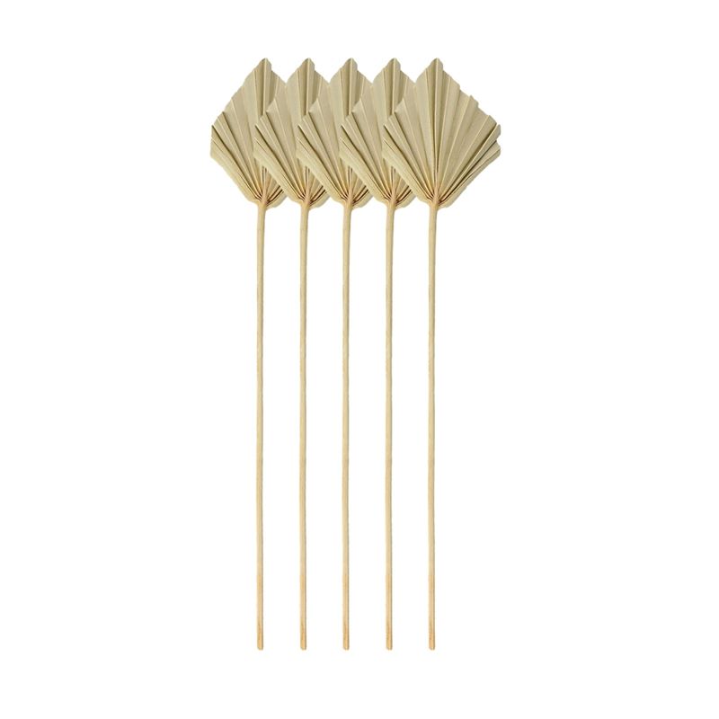 Palm Leaf Dried - A67P-Boho Varillas de Palma Secas Pequeñas,