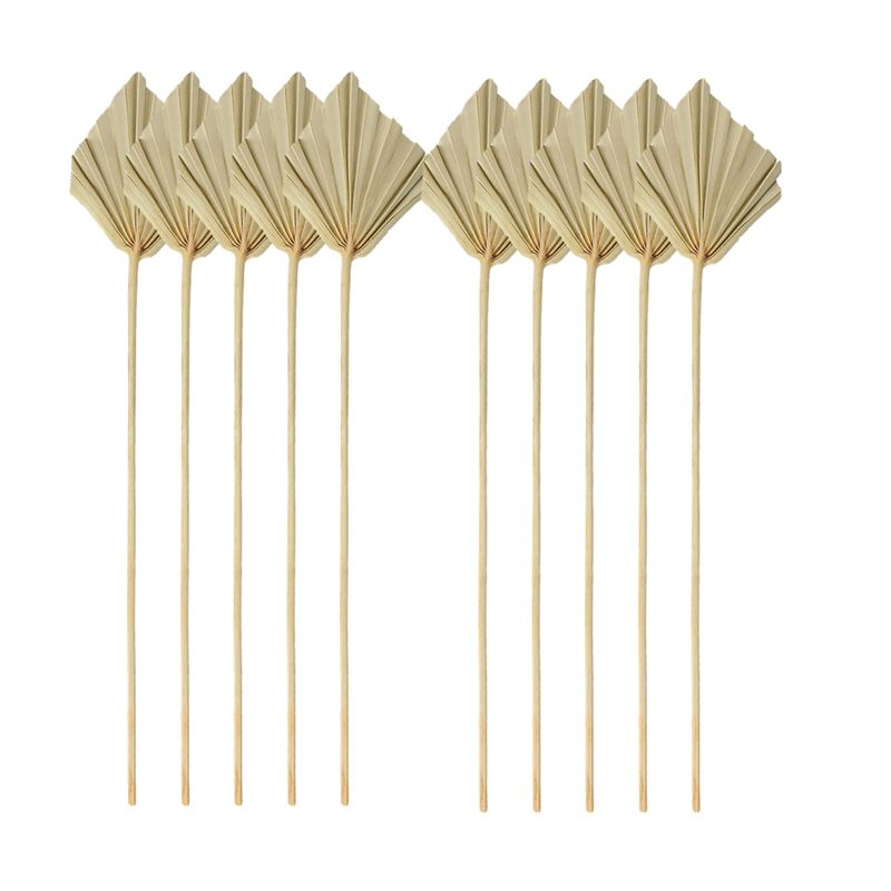 Palm Leaf Dried - TFORU-Boho, Varillas de Palma Secas, Pequeñas