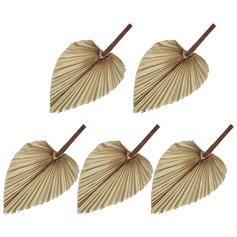 Palm Leaf Dried - SEWS-5 piezas de hojas de palma