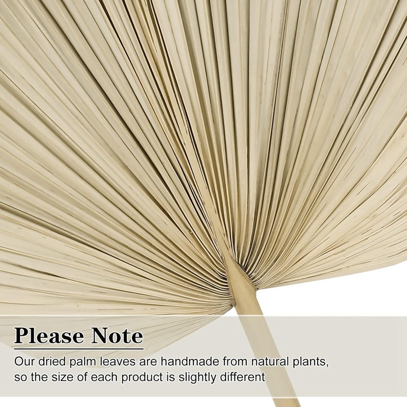 Palm Leaf Dried - Nuevo 6 uds hojas de palma