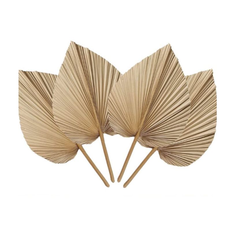 Palm Leaf Dried - A27F-6 piezas de hojas de palma