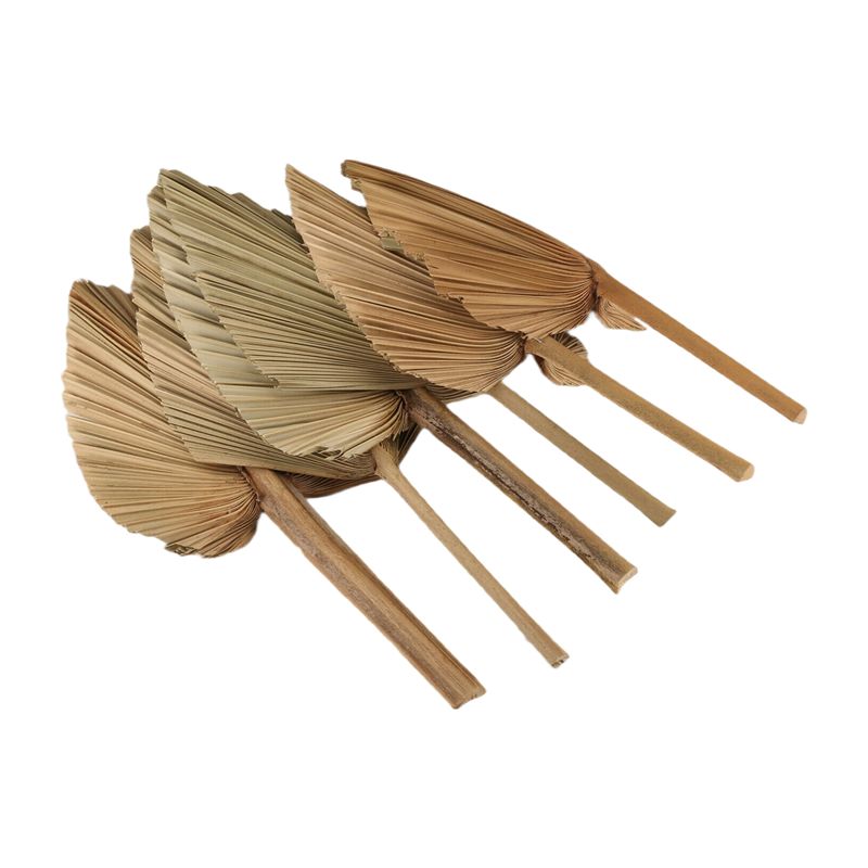 Palm Leaf Dried - ABKO-6PCS Hojas de palma secas naturales,