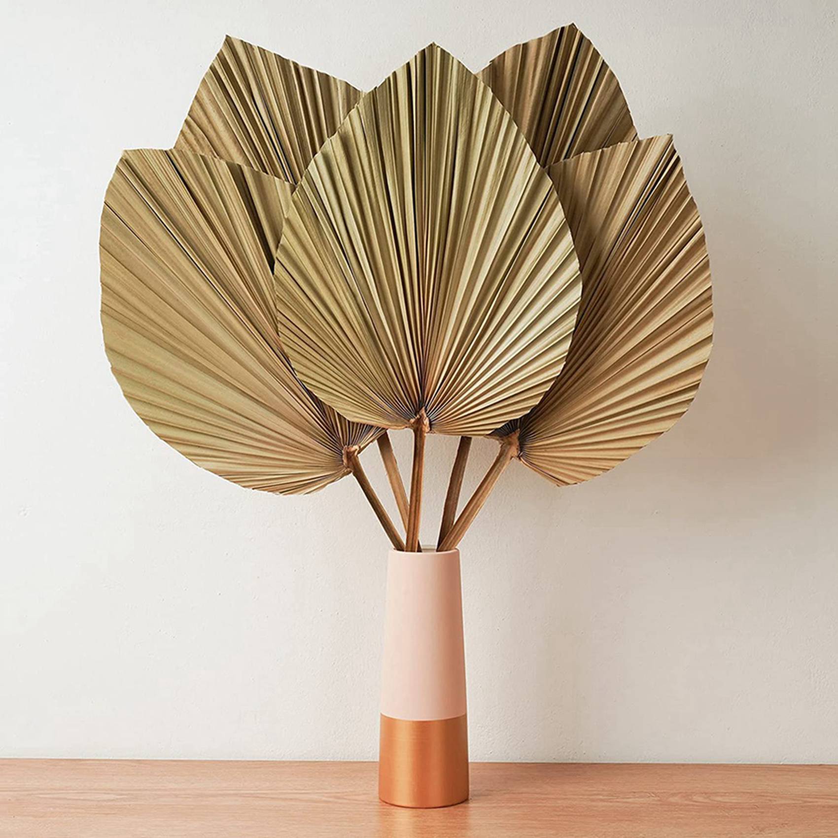 Palm Leaf Dried - Hojas de Palma Secas para Decoración