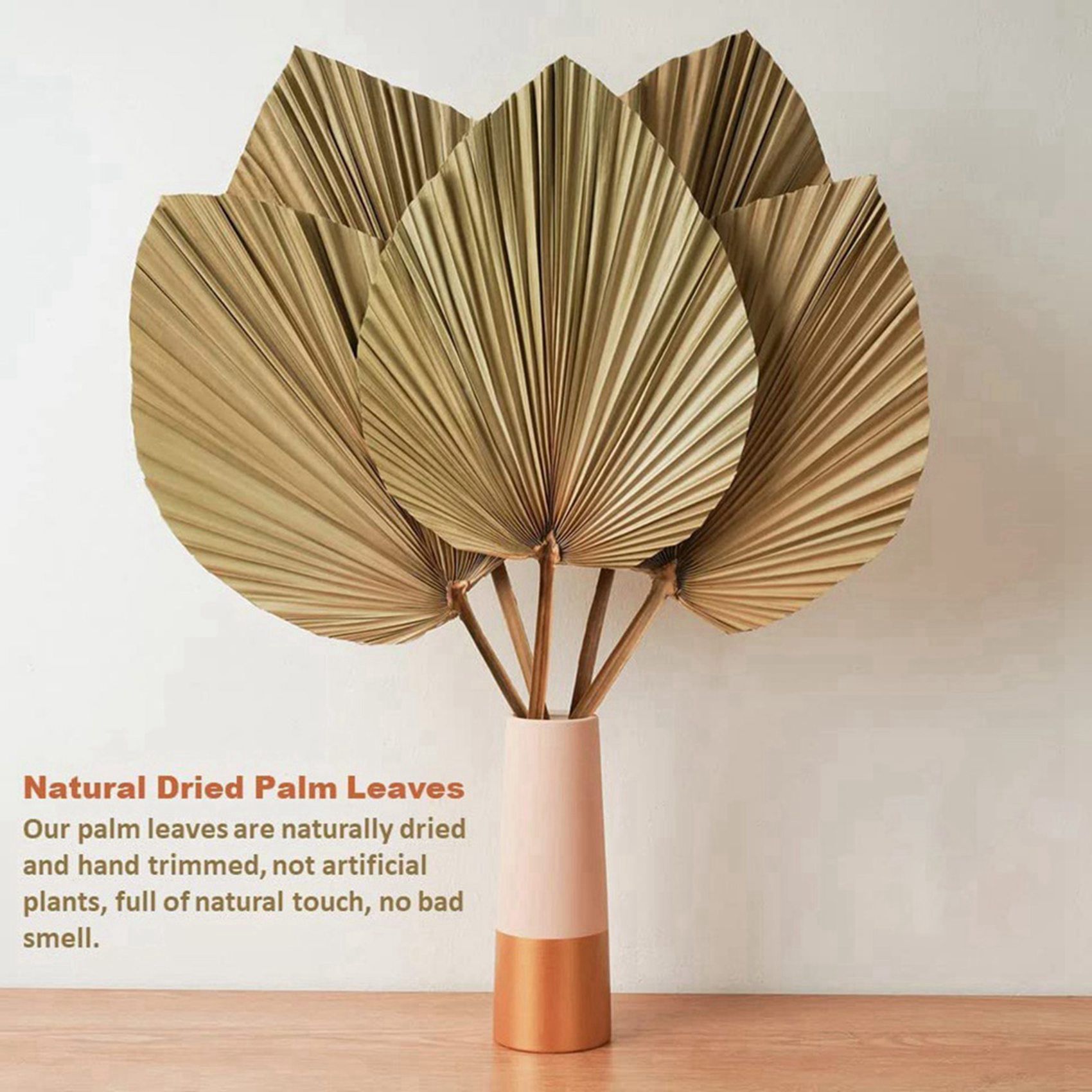 8 piezas de hojas de palma sec - Palm Leaf Dried reseña y precio