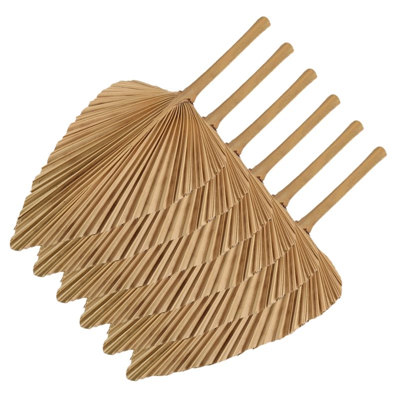 AT84-6PCS Hojas de palma secas - Palm Leaf Dried reseña y precio