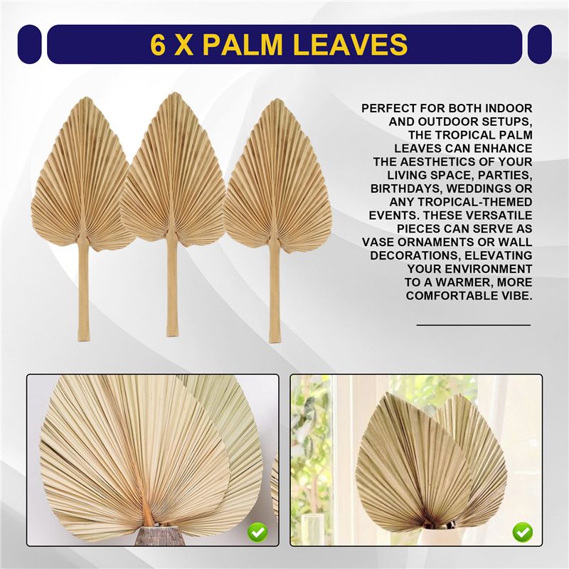 AT84-6PCS Hojas de palma secas - Palm Leaf Dried reseña y precio