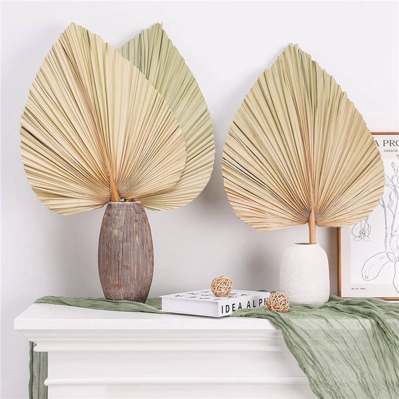 【NAVIDAD】24 hojas de palma sec - Palm Leaf Dried reseña y precio