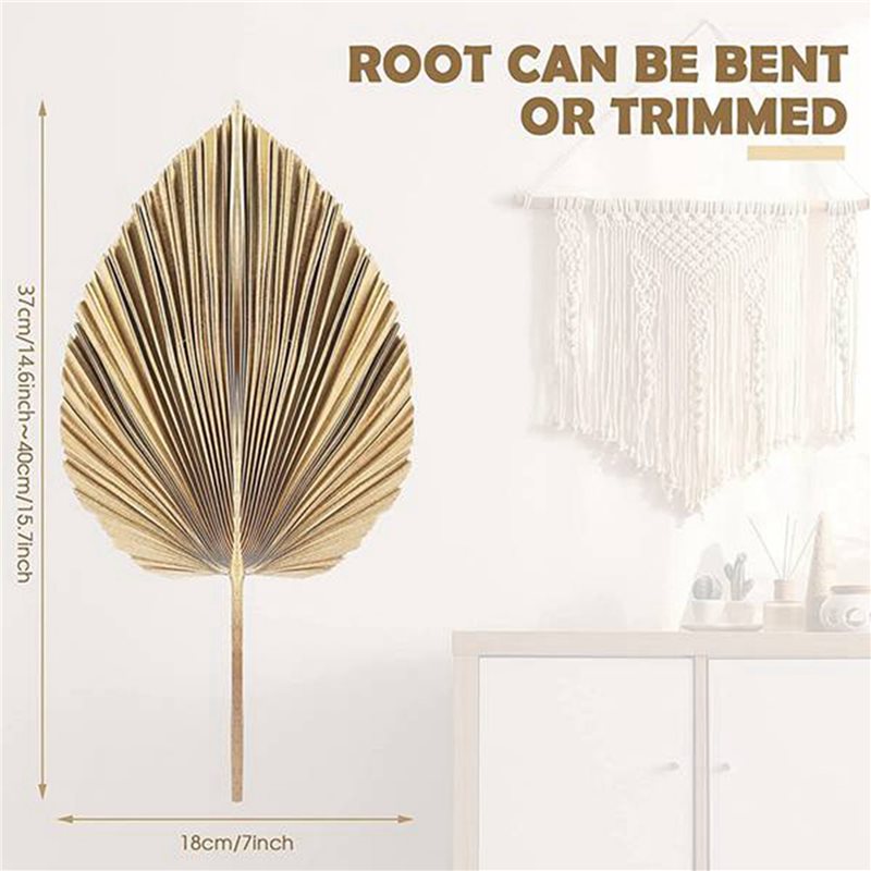 【NAVIDAD】24 hojas de palma sec - Palm Leaf Dried reseña y precio