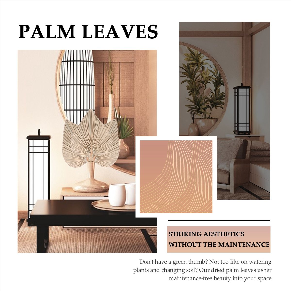 NOCM Hojas de palma secas para - Palm Leaf Dried reseña y precio