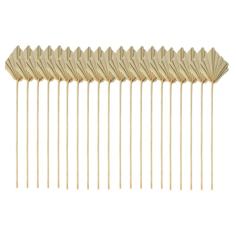 ABYN-Boho, Varillas de Palma S - Palm Leaf Dried reseña y precio