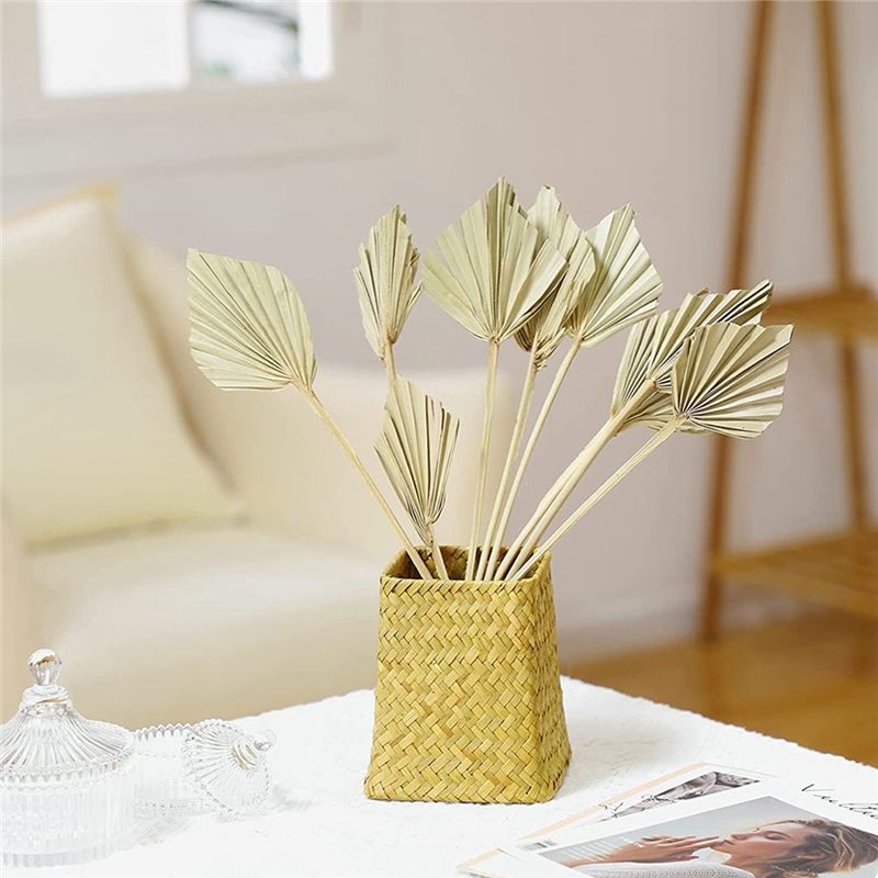 AS60-30 Piezas de Palas de Pal - Palm Leaf Dried reseña y precio