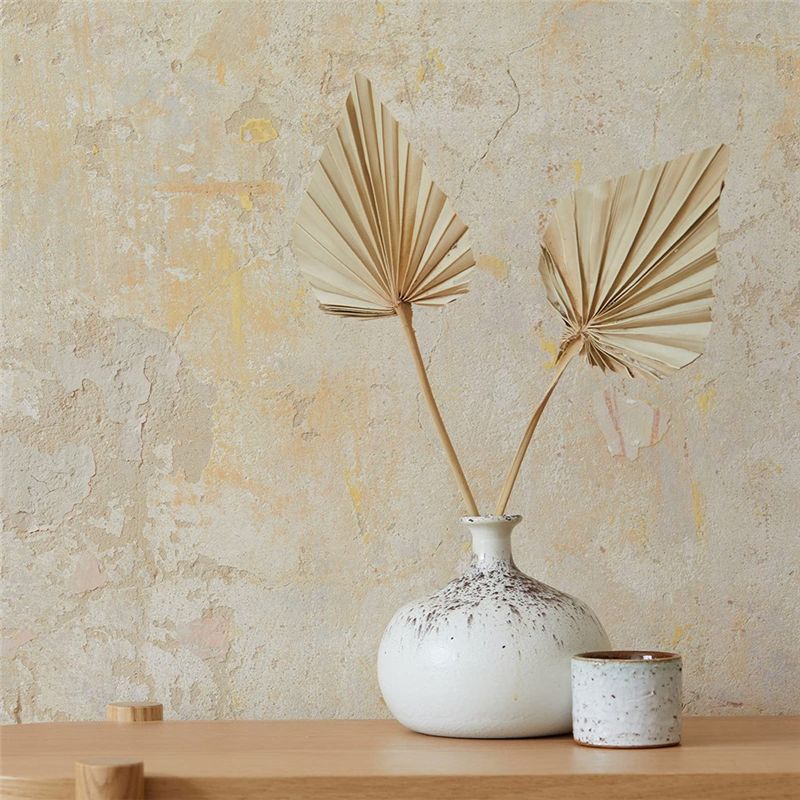 TFORU-Boho, Varillas de Palma  - Palm Leaf Dried reseña y precio