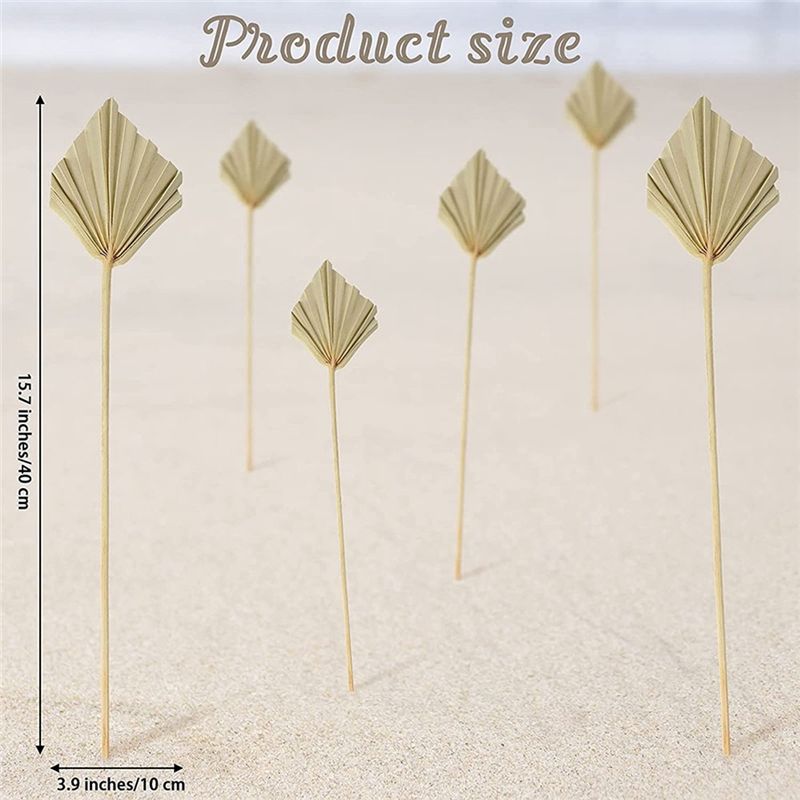 A36T-30 Piezas de Palas de Pal - Palm Leaf Dried reseña y precio