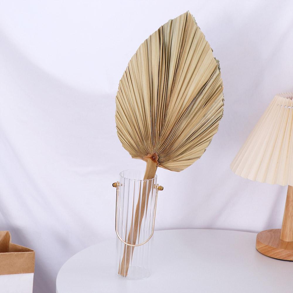 Hojas de palma natural bohemia - Palm Leaf Dried reseña y precio