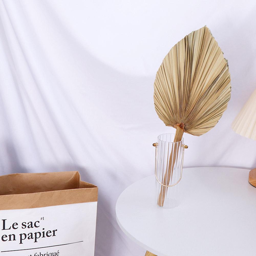 Hojas de palma natural bohemia - Palm Leaf Dried reseña y precio