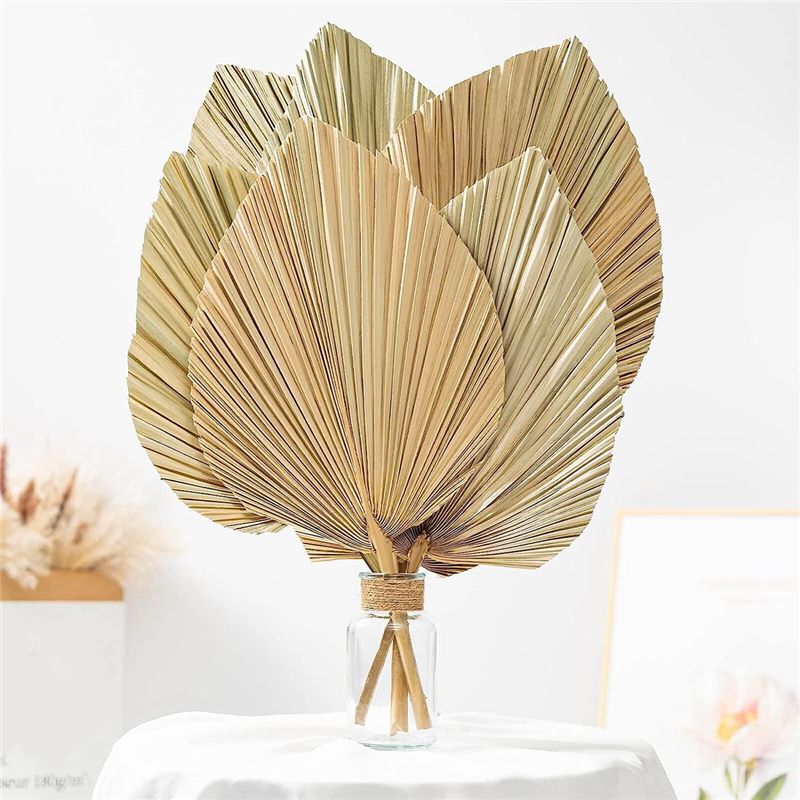 A27F-6 piezas de hojas de palm - Palm Leaf Dried reseña y precio