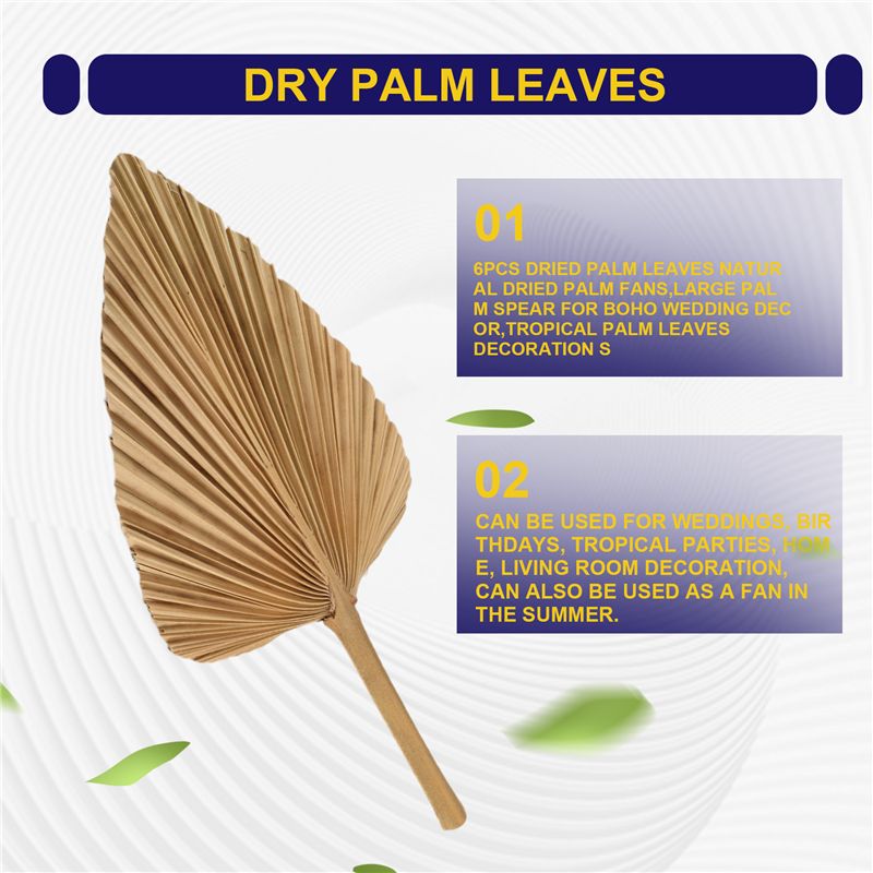 ABKO-6PCS Hojas de palma secas - Palm Leaf Dried reseña y precio